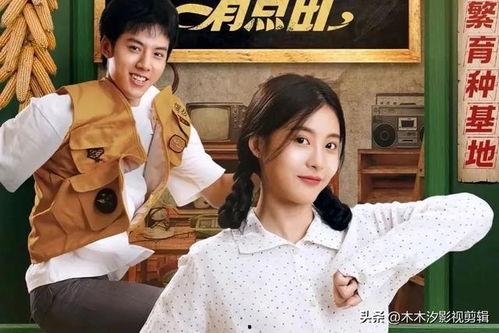 娱乐圈吃瓜短剧推荐小说