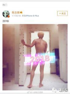 吃瓜猪娱乐演唱会,狂欢之夜，星光熠熠